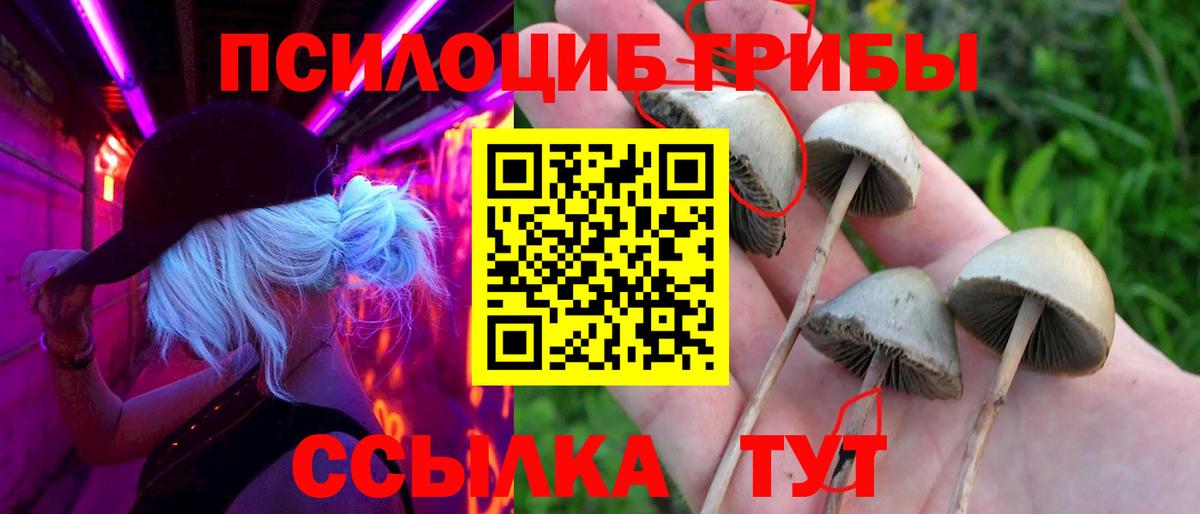 Куйбышев  Псилоцибиновые грибы MAGIC MUSHROOMS  Вход с VPN 